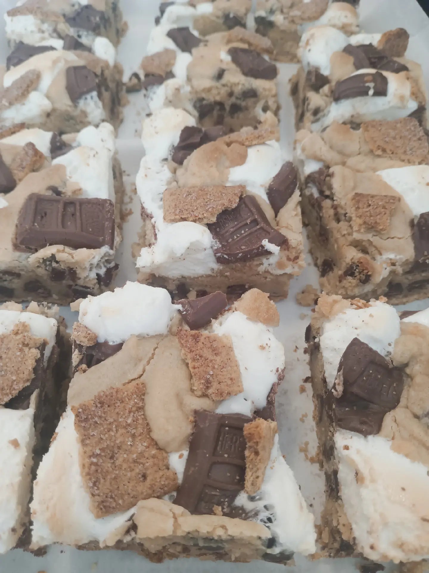 Smore's Chocolate Chip Cookie Bar